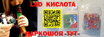 молекула духа Берёзовский