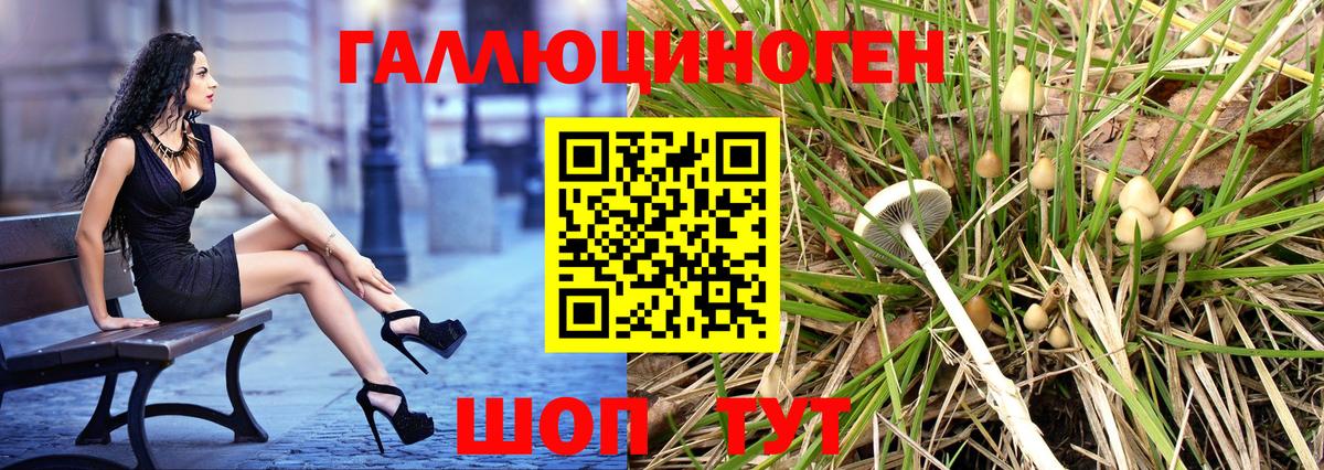 Псилоцибиновые грибы мицелий  Вход с VPN  Ковров 