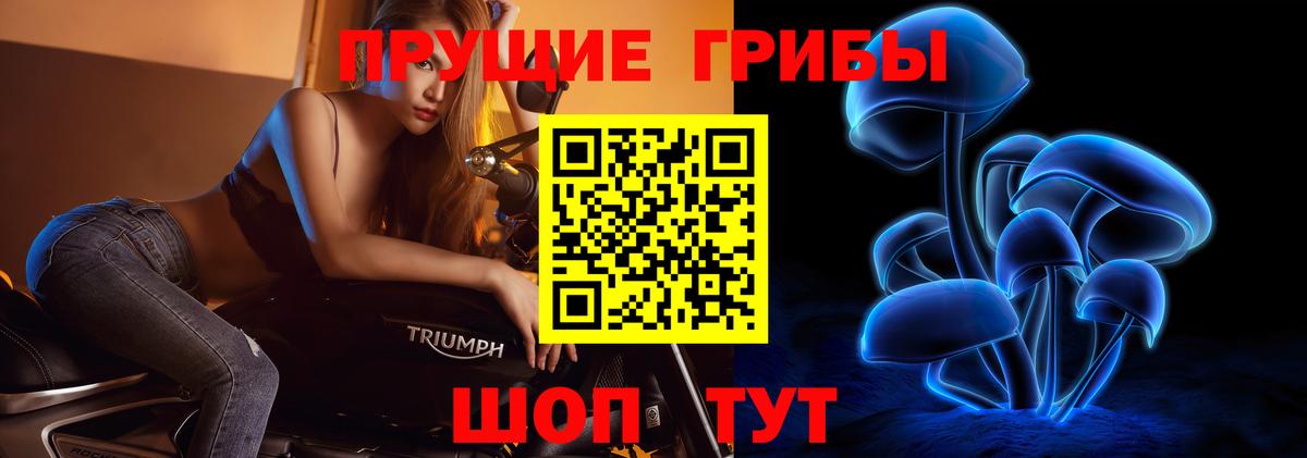 Псилоцибиновые грибы мицелий Ковров